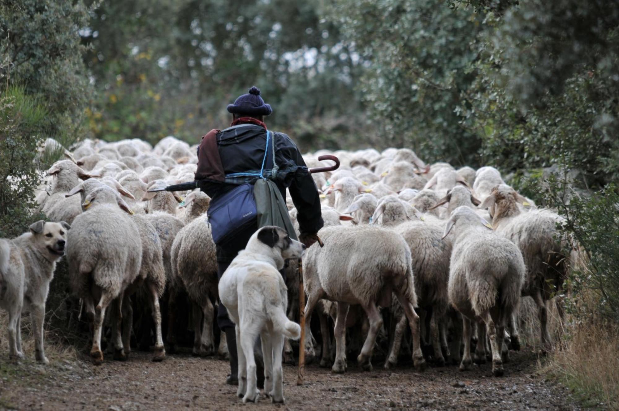 Posada Real La Mula De Los Arribes Villardiegua de la Ribera Eksteriør bilde