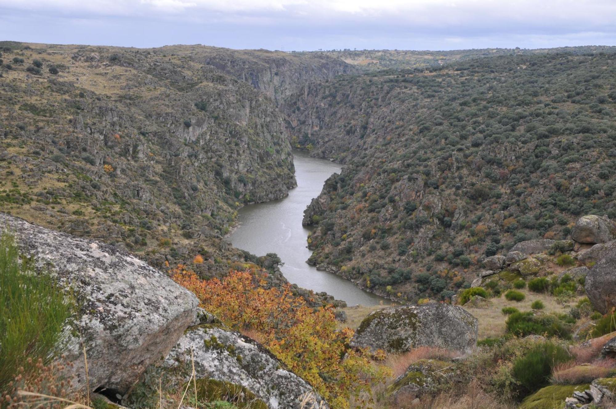 Posada Real La Mula De Los Arribes Villardiegua de la Ribera Eksteriør bilde